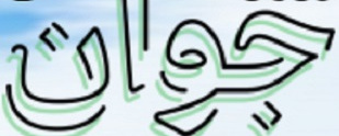 هفته جوان